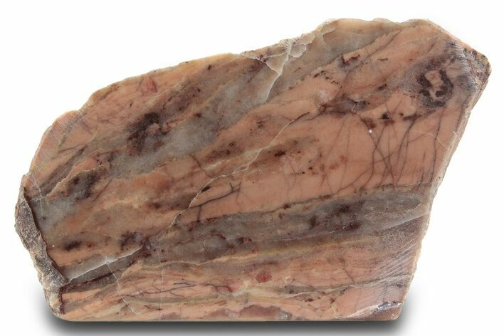 Polished Kona Dolomite Section - Michigan #299947